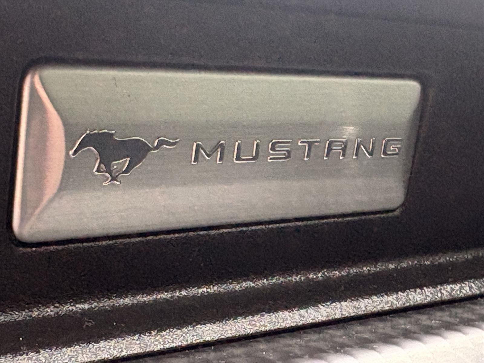 2019 Ford Mustang EcoBoost