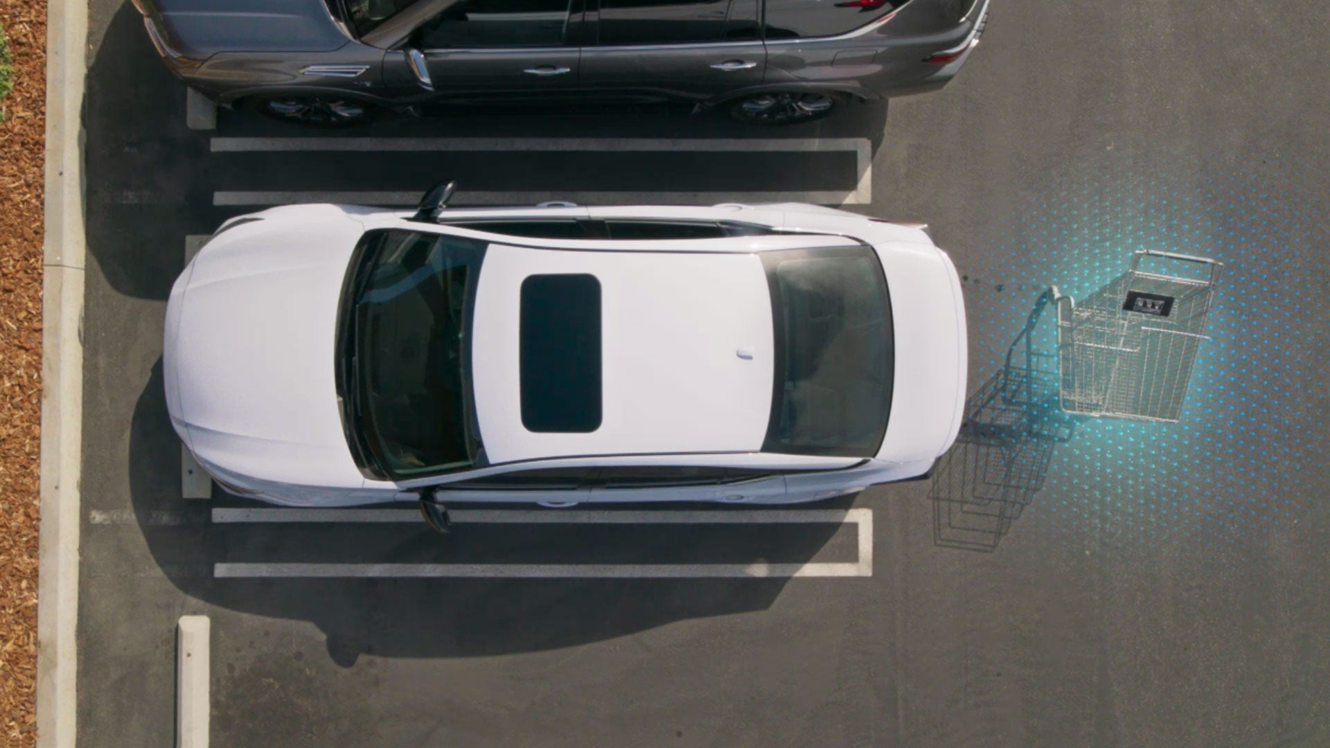 2026 Nissan Altima | Nissan of Warsaw in Warsaw, IN