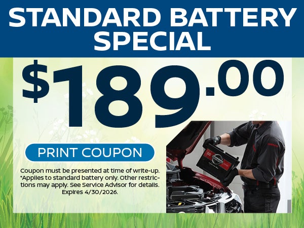 Standard Battery Special