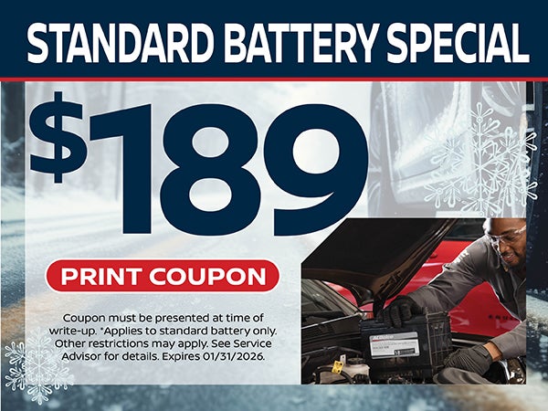 Standard Battery Special